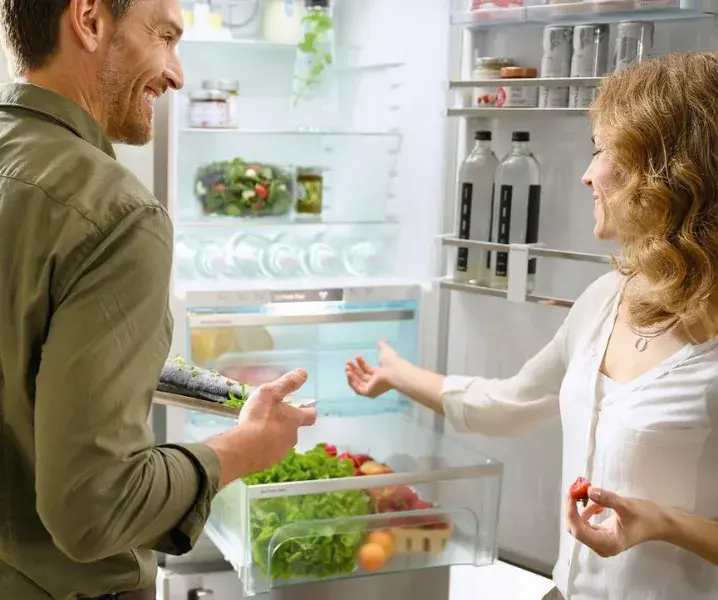 какой холодильник выбрать мнение