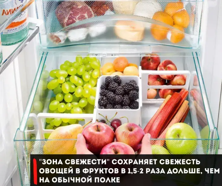 как правильно выбрать оптимальный холодильник
